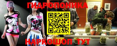сатива Будённовск